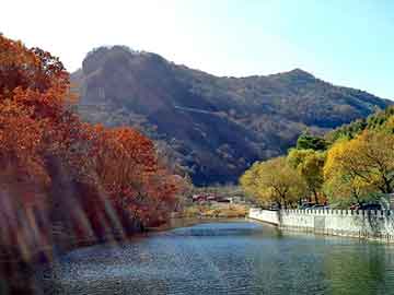 管家婆黑白马报图库，奶吧杀菌机